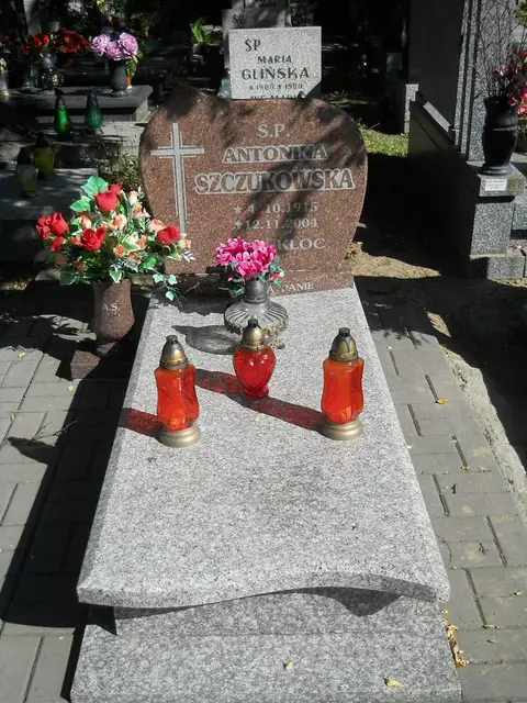 Zdjęcie grobu 5/24078