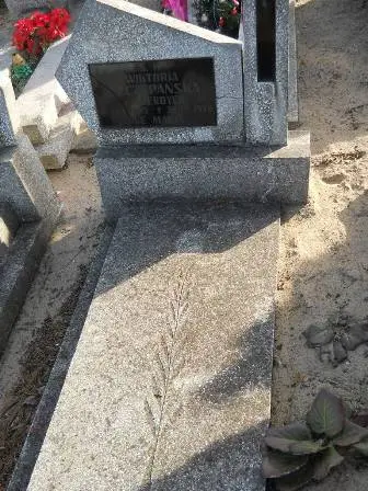 Zdjęcie grobu 6a/11
