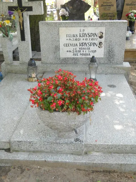 Zdjęcie grobu 14/27318
