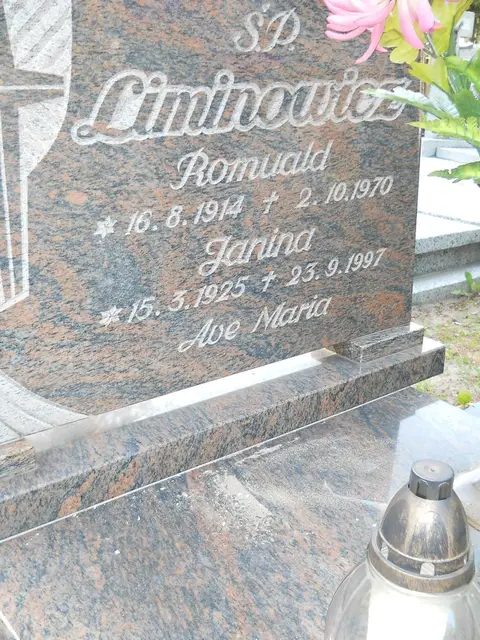 Zdjęcie grobu 8/10458