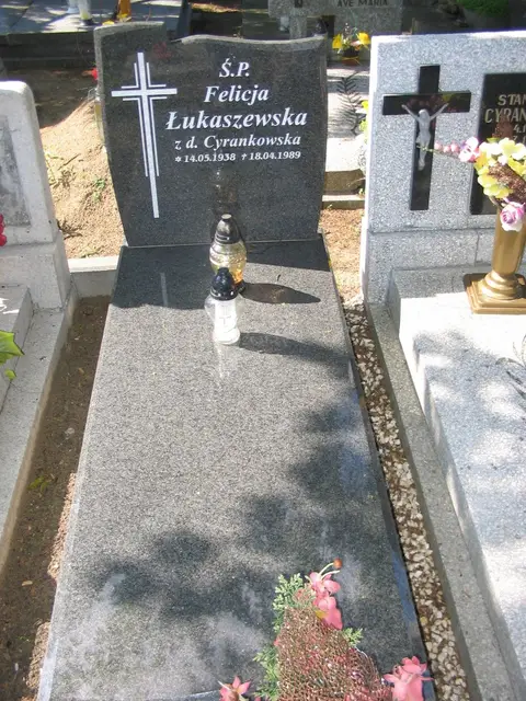 Zdjęcie grobu 22/236141