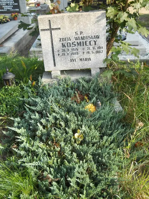 Zdjęcie grobu A/24913