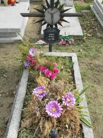Zdjęcie grobu 9/100