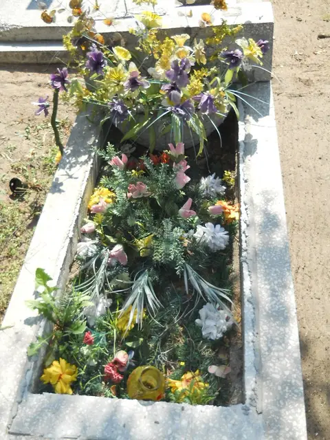 Zdjęcie grobu 14/27417
