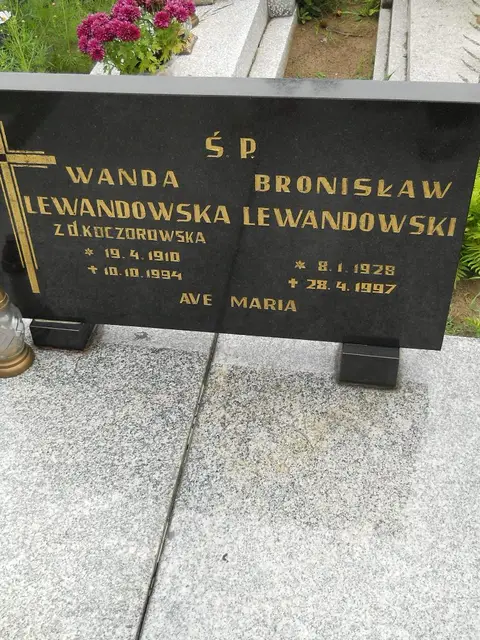 Zdjęcie grobu 22/23494