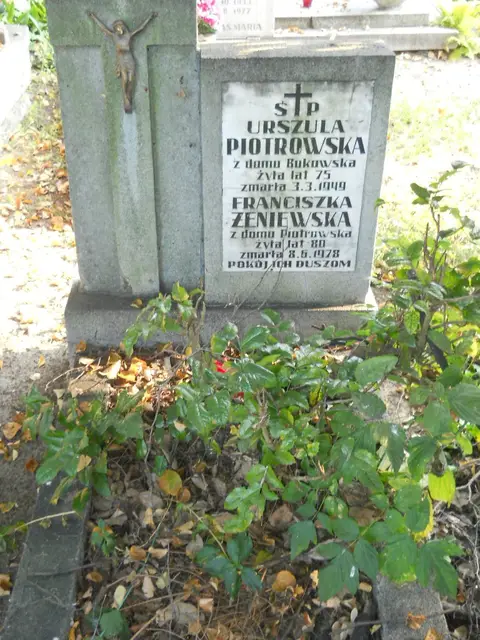 Zdjęcie grobu 15/26758