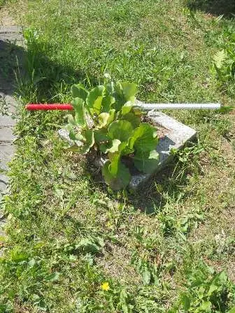 Zdjęcie grobu 20/357