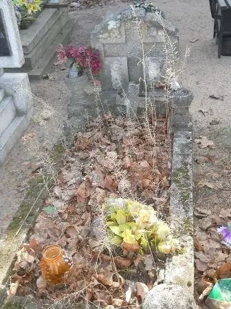 Zdjęcie grobu 100/100