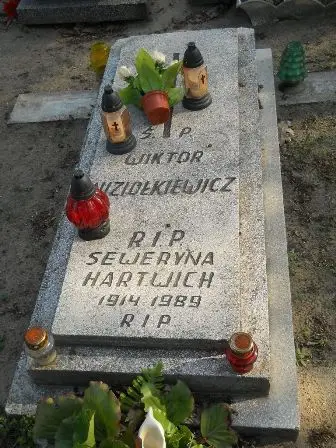 Zdjęcie grobu 9a/60