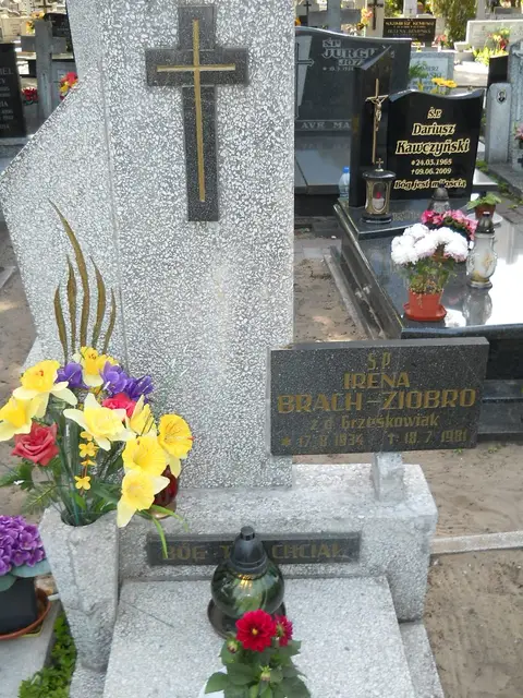 Zdjęcie grobu 8/10460