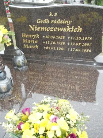 Zdjęcie grobu 36/100