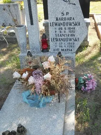 Zdjęcie grobu 46/242