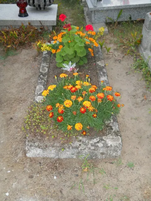 Zdjęcie grobu 20/29075