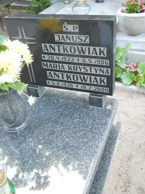 Zdjęcie grobu 8/10463