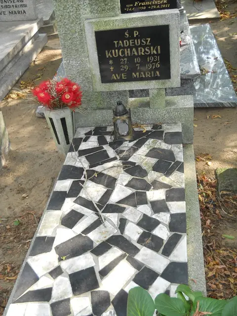 Zdjęcie grobu 19/28576