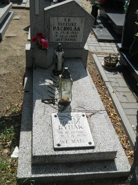 Zdjęcie grobu 18/28372