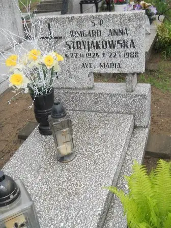 Zdjęcie grobu E/78