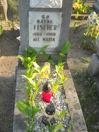 Zdjęcie grobu 7b/100