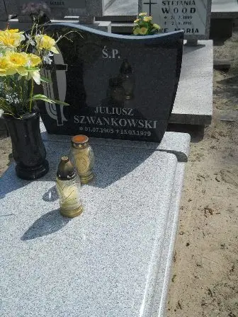 Zdjęcie grobu 25/294