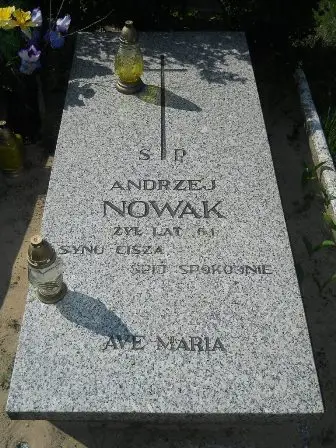 Zdjęcie grobu 14/100
