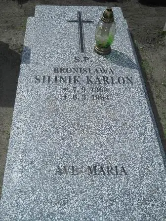 Zdjęcie grobu 20/494