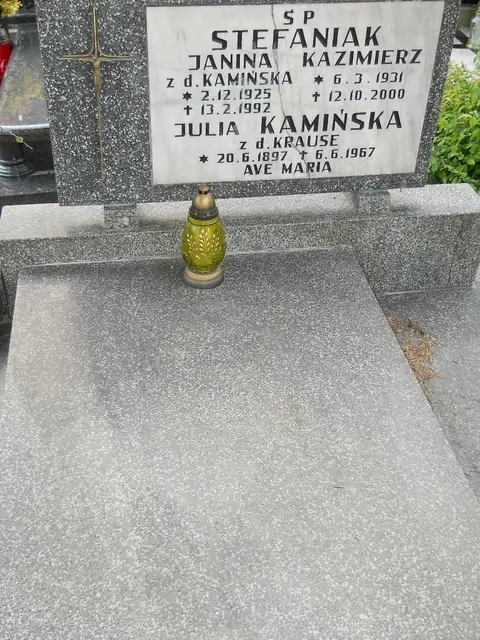 Zdjęcie grobu 8/10528