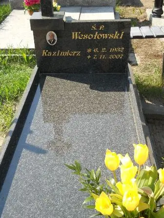 Zdjęcie grobu 14/100
