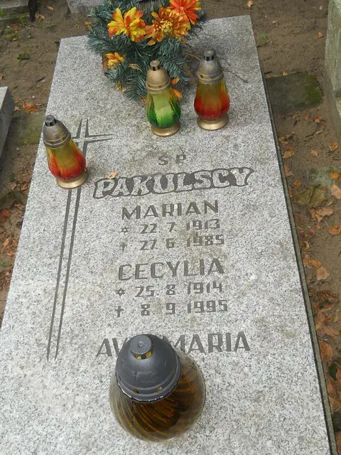 Zdjęcie grobu 12/29536