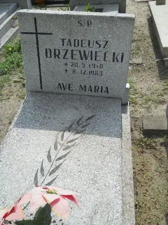 Zdjęcie grobu 21/100