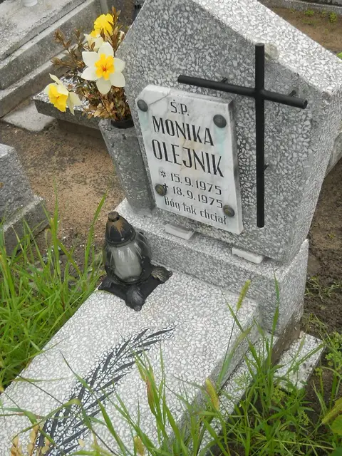 Zdjęcie grobu 21/23818