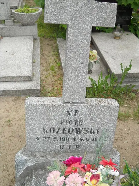 Zdjęcie grobu 7/11068