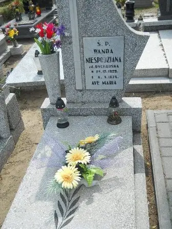 Zdjęcie grobu 40/162
