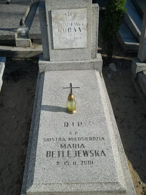 Zdjęcie grobu C/12120