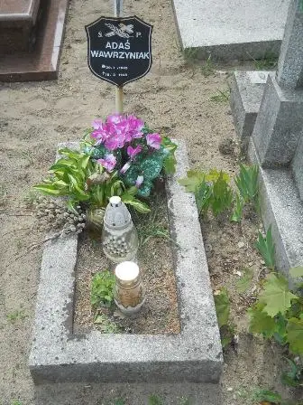 Zdjęcie grobu 21/100