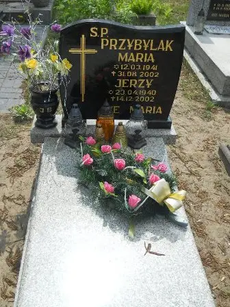 Zdjęcie grobu 40/158a