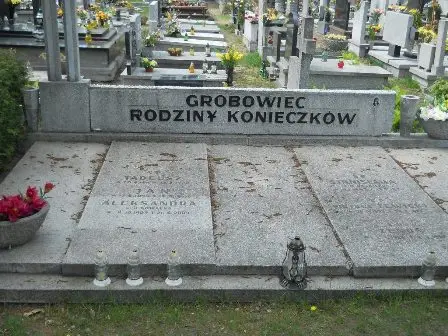 Zdjęcie grobu 40/100
