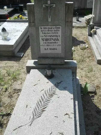 Zdjęcie grobu 30/80