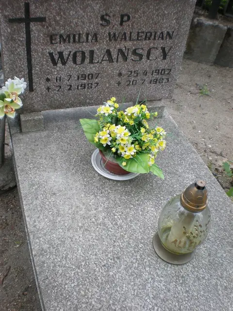 Zdjęcie grobu A/20053