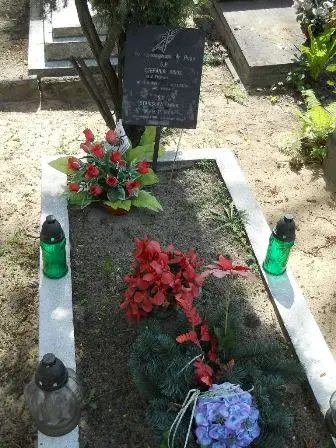 Zdjęcie grobu 27/390