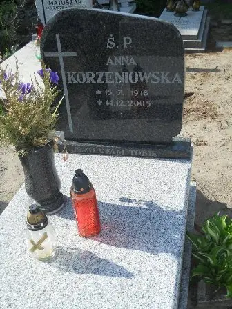 Zdjęcie grobu 20/100