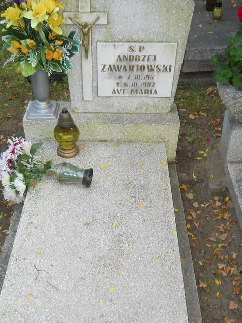 Zdjęcie grobu 14/26895