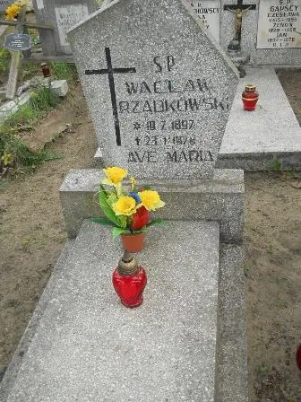 Zdjęcie grobu 9/61