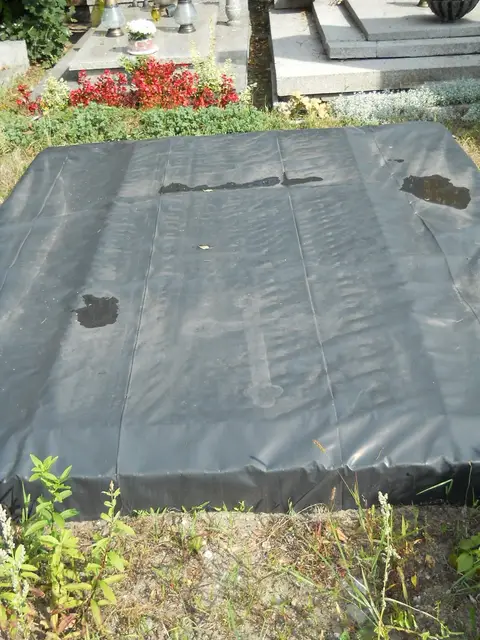 Zdjęcie grobu A/25065