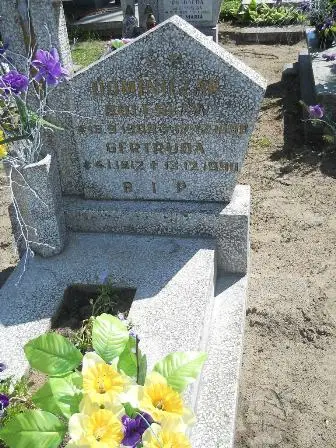 Zdjęcie grobu 46/197