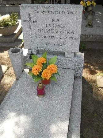 Zdjęcie grobu 25/37