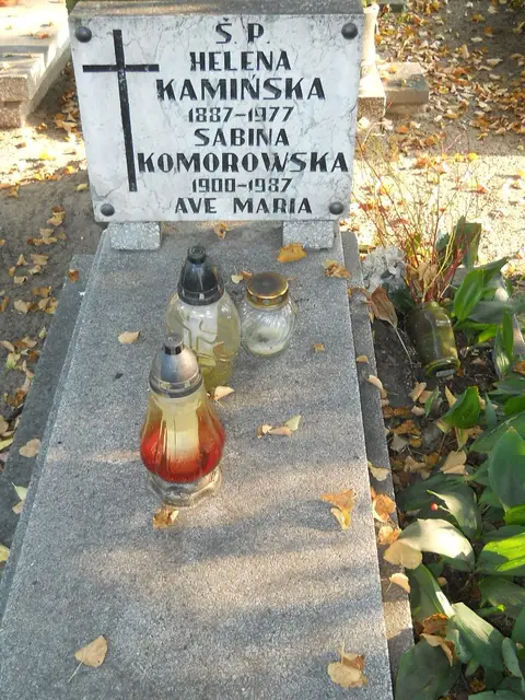 Zdjęcie grobu 15/26760