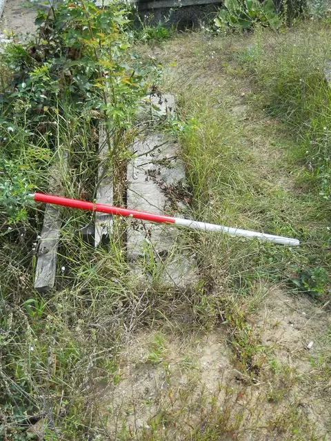 Zdjęcie grobu B/25090