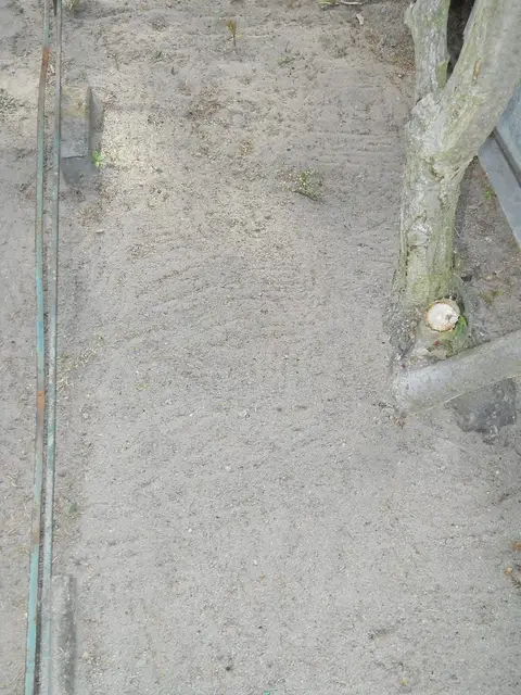Zdjęcie grobu 8/10525