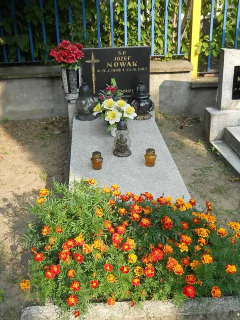 Zdjęcie grobu 14/28678