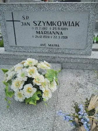 Zdjęcie grobu 44/100